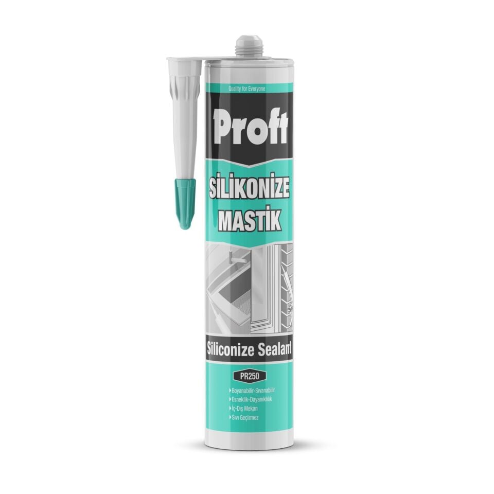 Proft Silikonize Mastik 450 Gr (pr250) Siyah