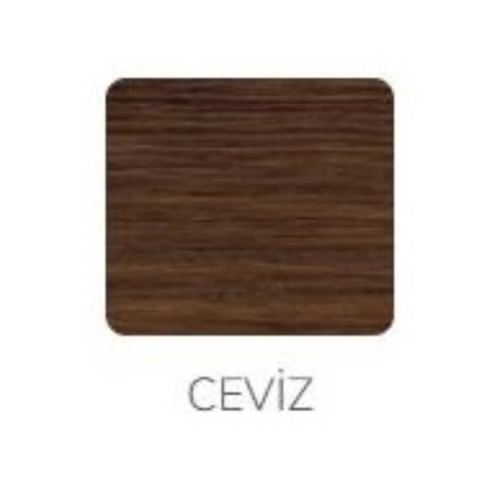 Best Sprey Vernik 300 Ml Ceviz