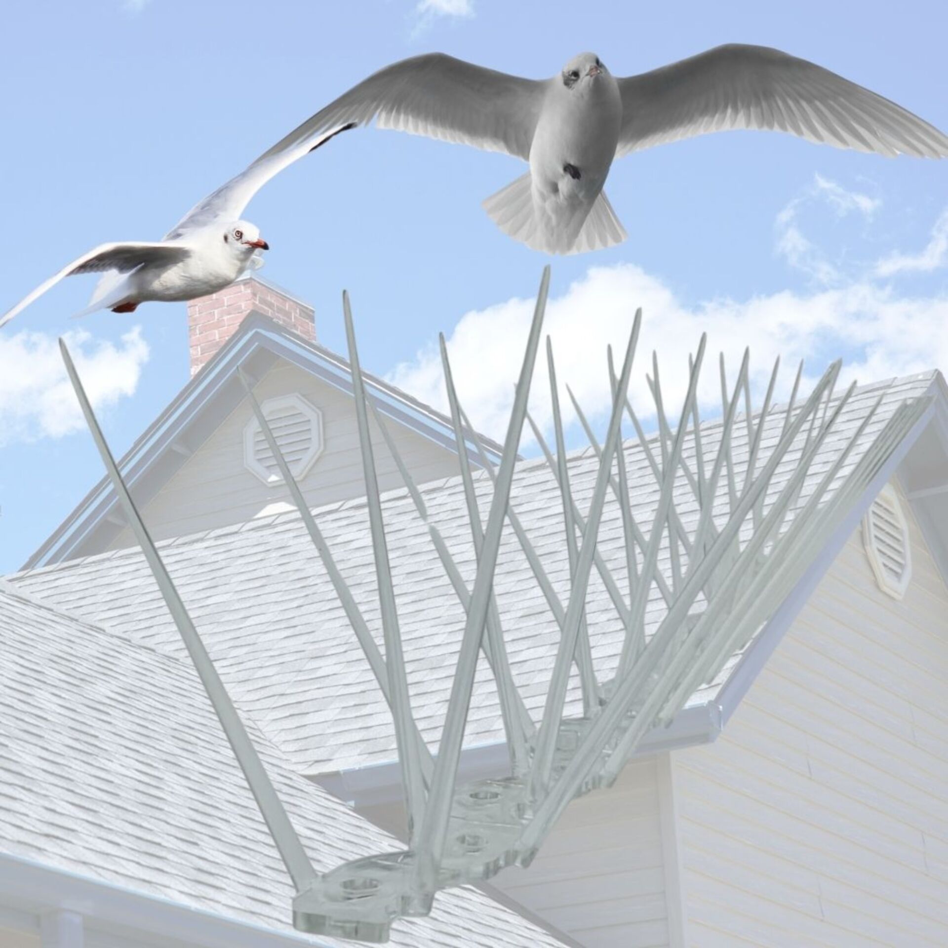 Kuşkonmaz 520 Mm Ak-119