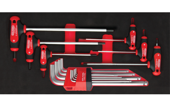 Ceta Form 15 Parça T Saplı ve L Topbaşlı Allen Anahtar Seti (EVA'lı) - K99-10-E15