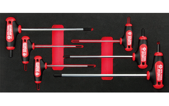 Ceta Form 6 Parça T Saplı Allen Anahtar Takımı (EVA'lı) - K99-10-E06