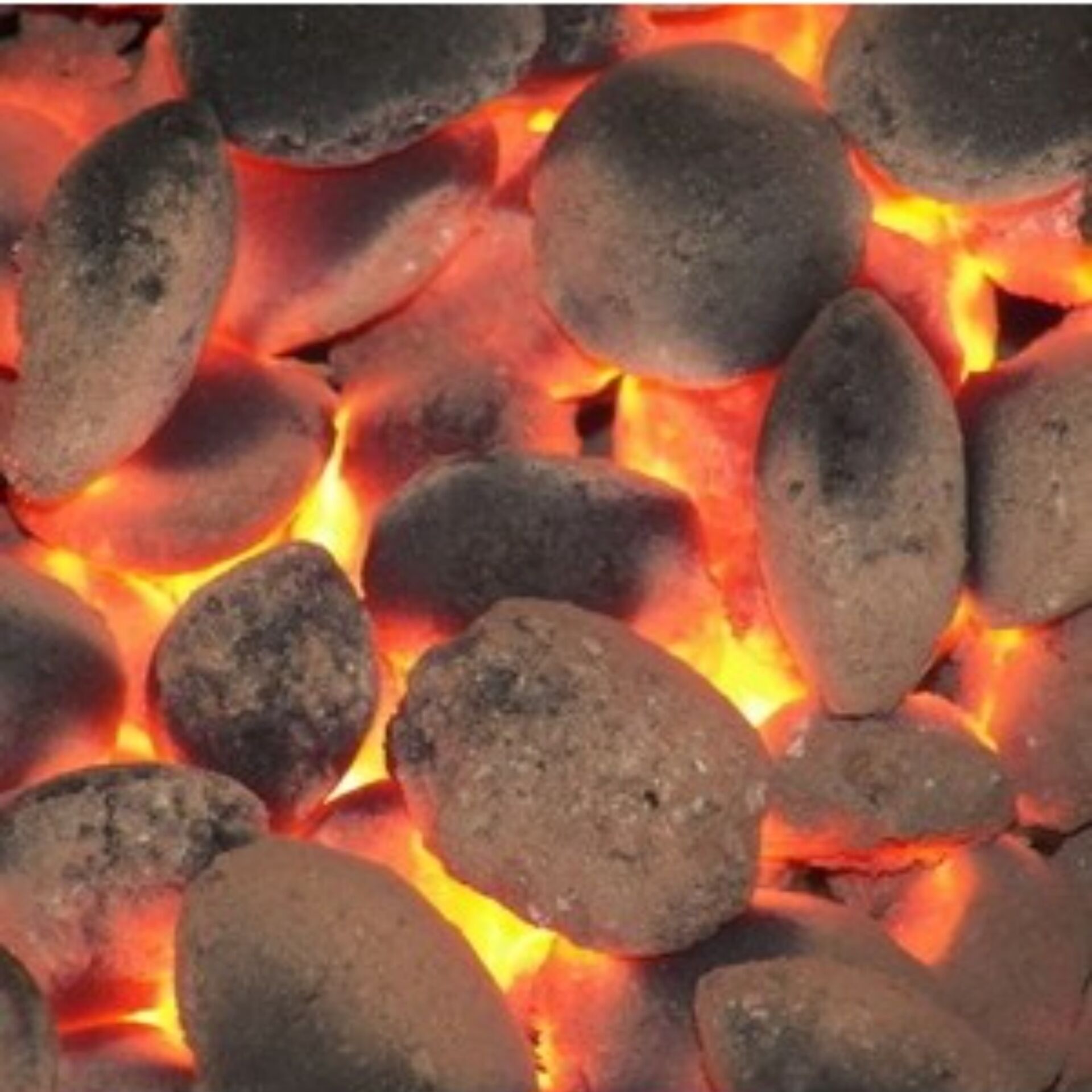 Buchen Mangal Kömürü Briket Sıkma 3 Kg (sarı)