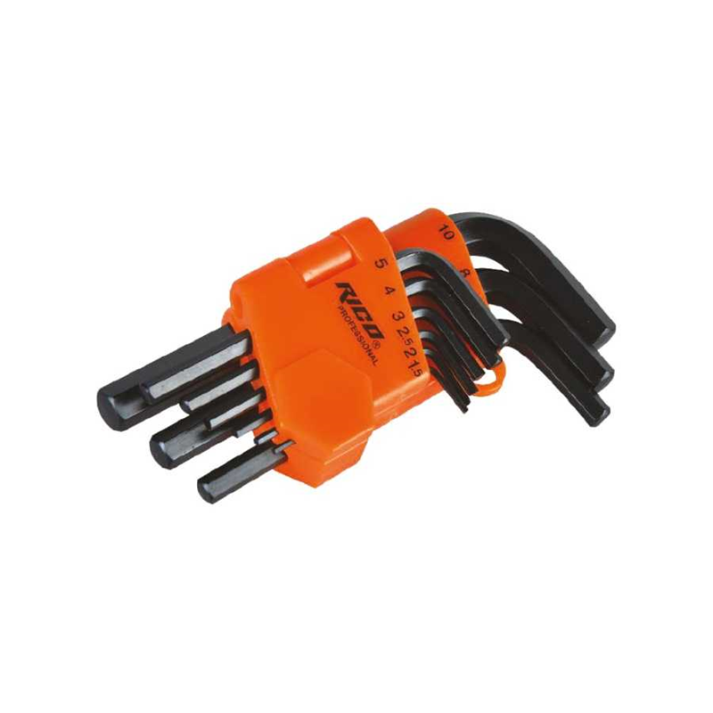 Rico 9 Parça Vakumlu Allen Torx Kısa - 013-RC3199