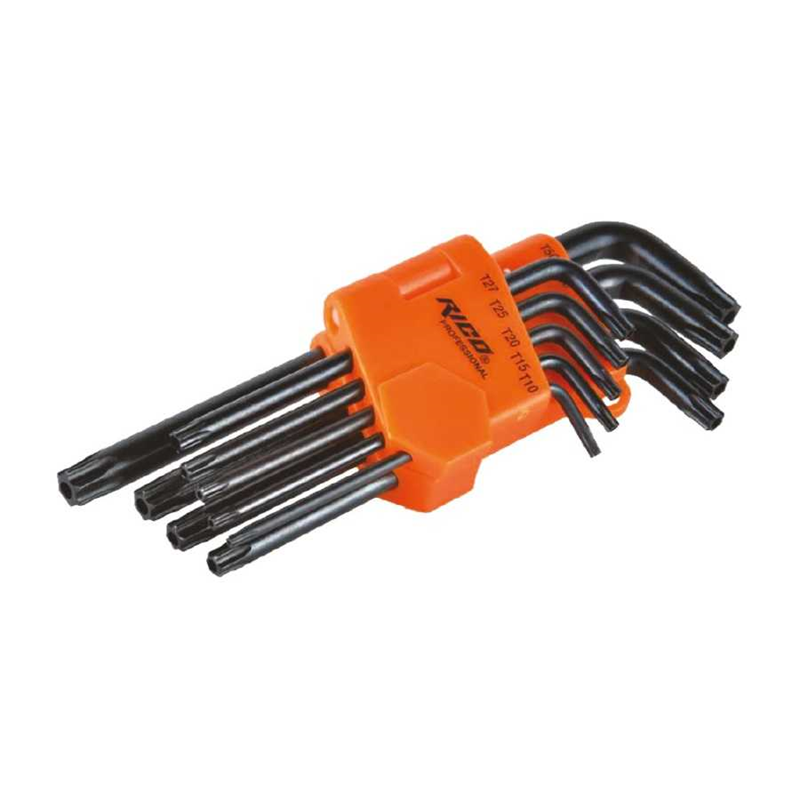 Rico 9 Parça Vakumlu Allen Delikli Torx Uzun - 013-RC9998