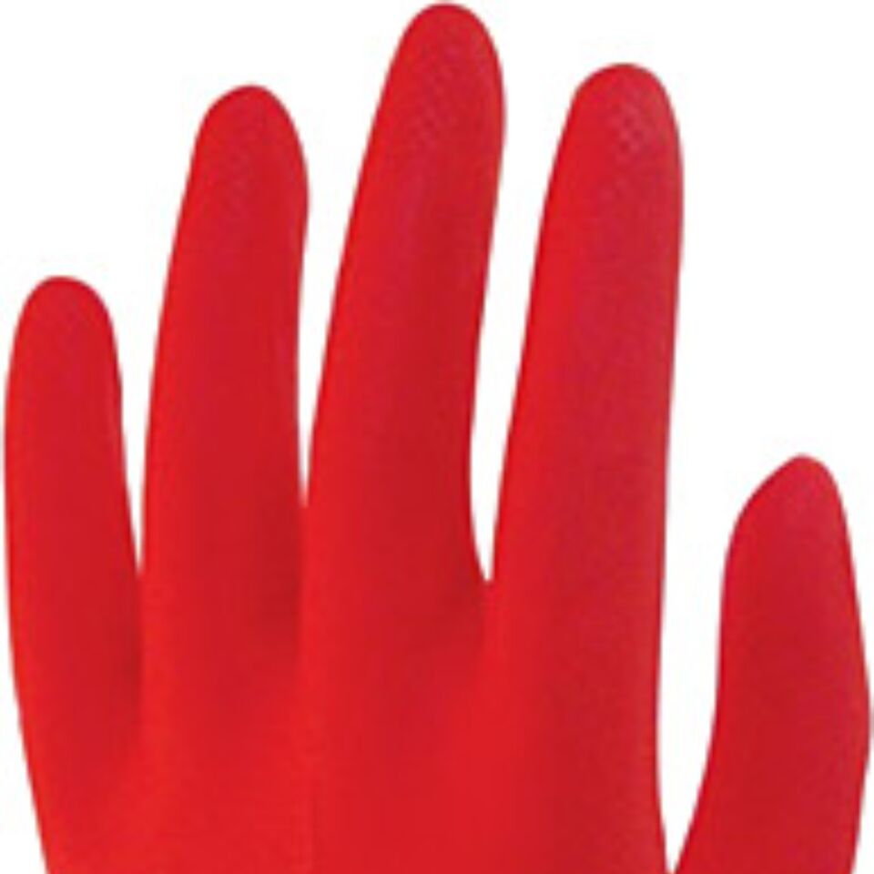 Beybi Usta İş Eldiveni No: 10