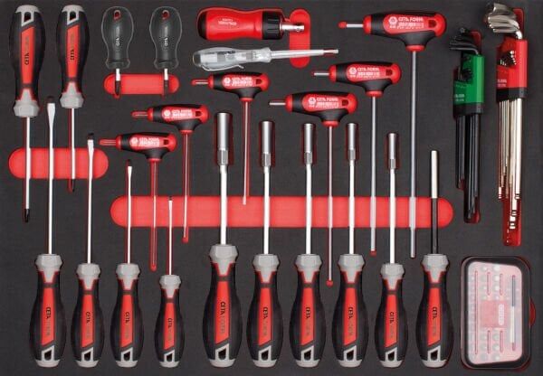 Ceta Form 81 Parça Tornavida ve T Saplı Allen Anahtar Seti (EVA'lı) - F99-E81