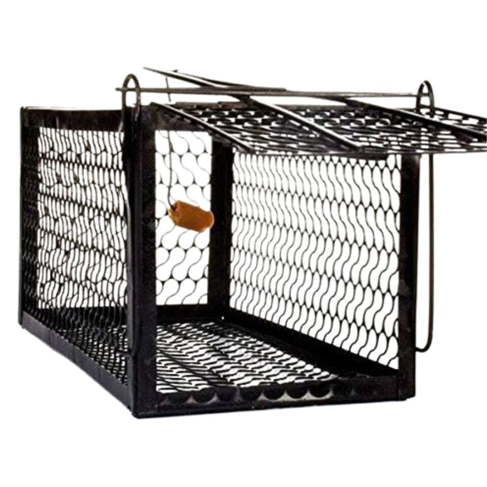 Mouse Trap Fare Kapanı (24x11x11)