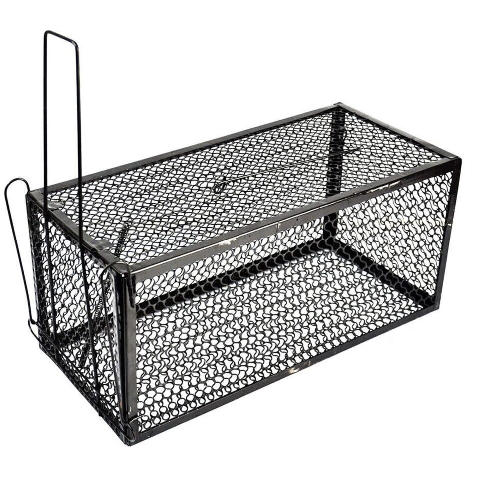 Mouse Trap Fare Kapanı (24x11x11)